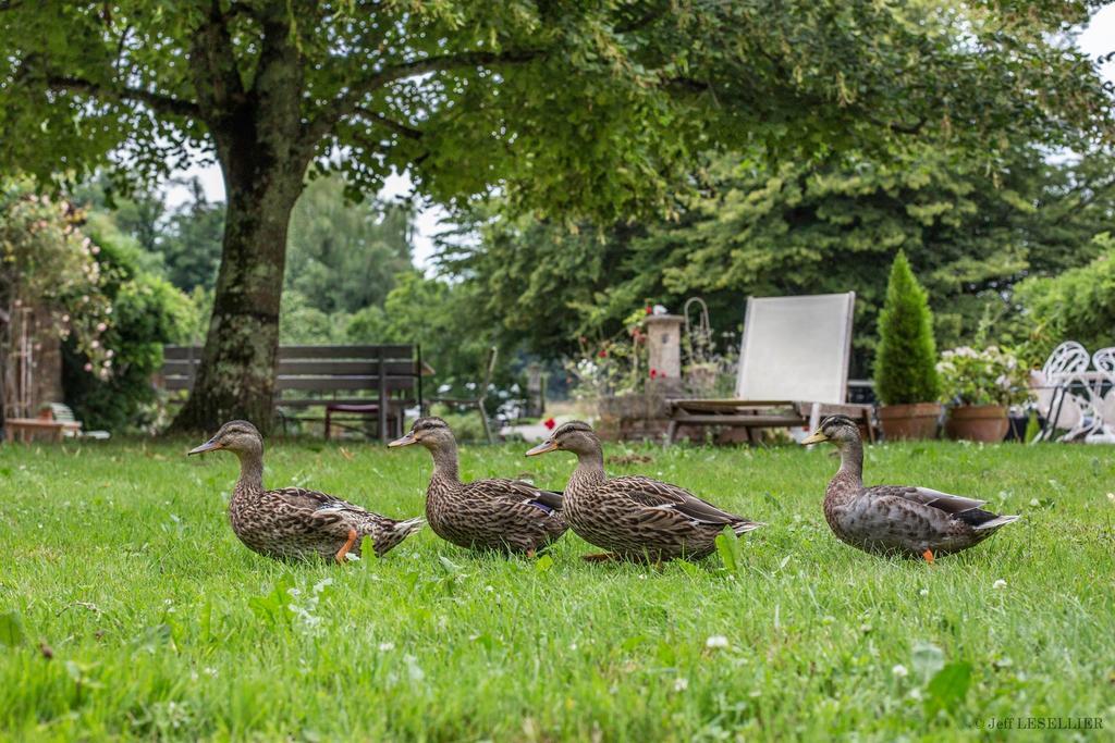 La Ferme De Marie Eugenie Panzió Bruailles Kültér fotó